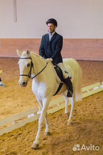 Драйвинг, иппотерапия,адаптивная,развив. верх.езда