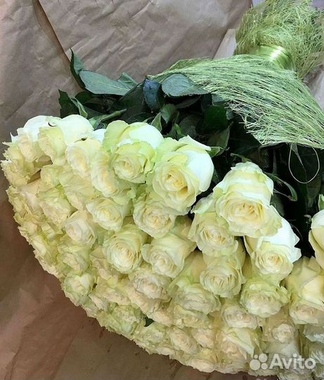 Розы Цветы Букеты 25 51 151 201 101 301 501 опт