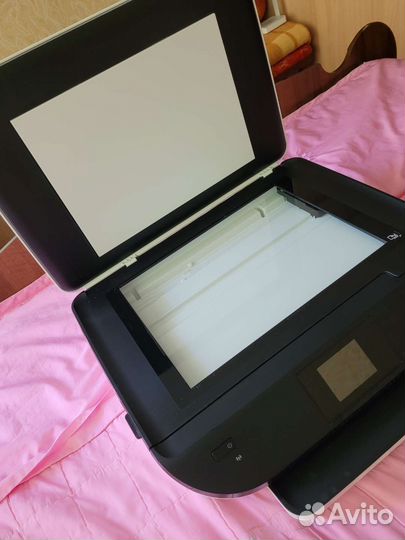 Принтер hp