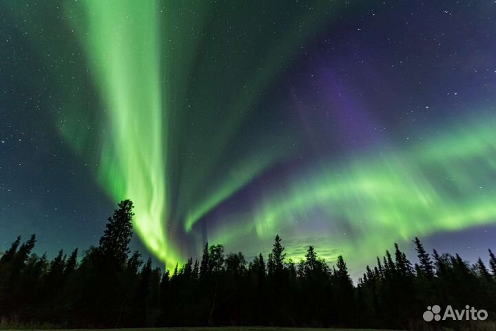 Тур на Кольский Полуостров