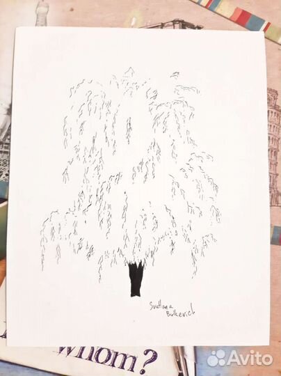 Рисунок Ива