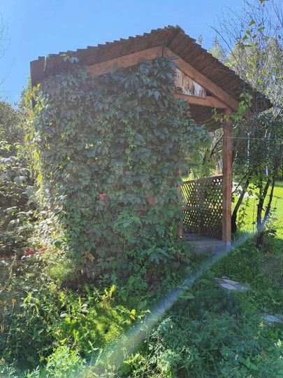 Дача 28,5 м² на участке 18 сот.