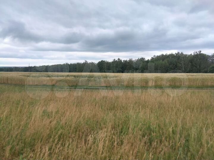 Участок 50 сот. (ИЖС)