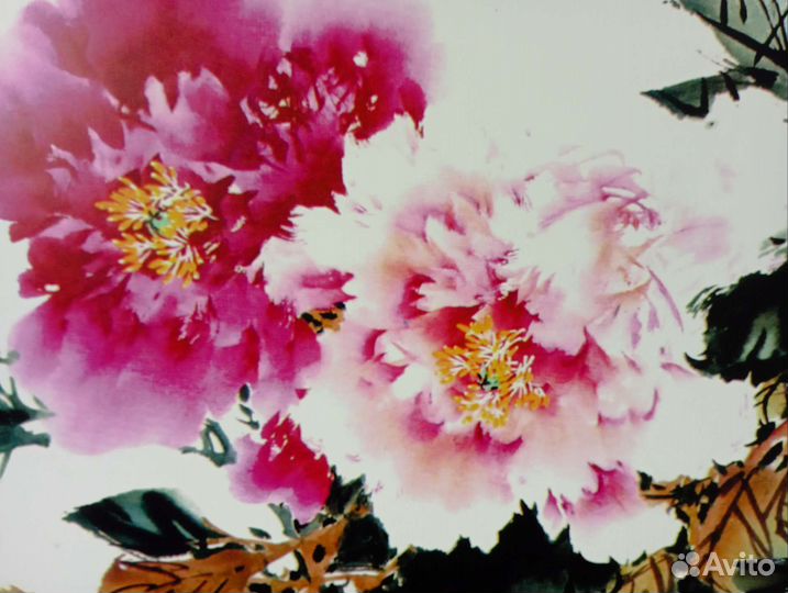 Постер пионы