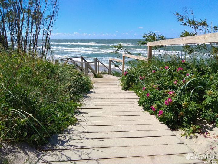 Экскурсия — Калининград — Путешествие наКуршскую к