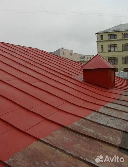 Зачистка и покраска крыш, домов и заборов