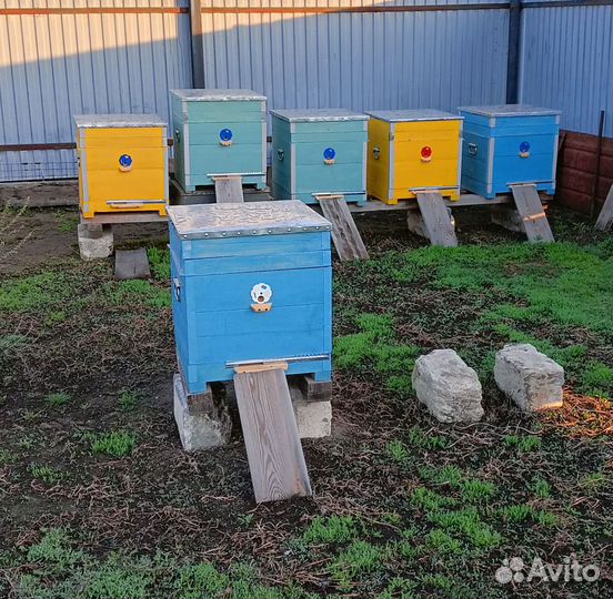 Улей с пчелами