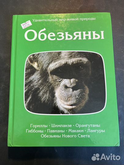 Обезьяны 1996 Пру Нейпье