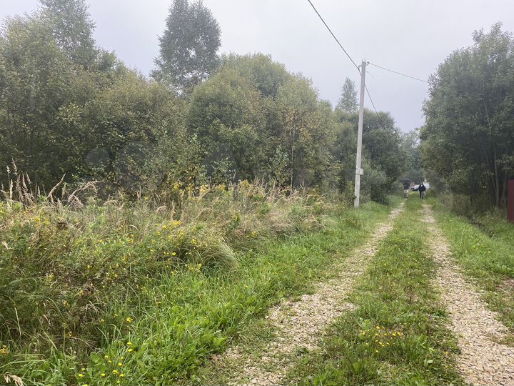 Участок 11,7 сот. (СНТ, ДНП)