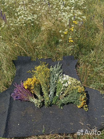 Травы для бани