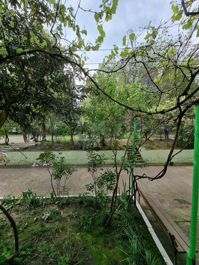 2-к. квартира, 49 м², 1/5 эт.