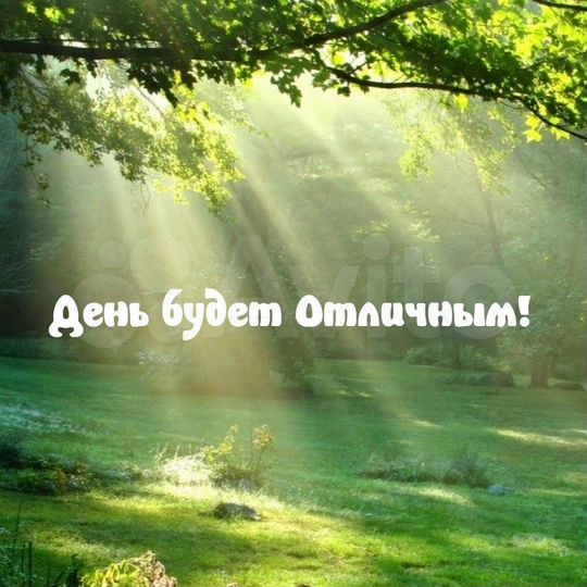 Участок 6 сот. (СНТ, ДНП)