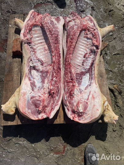 Свинина домашняя