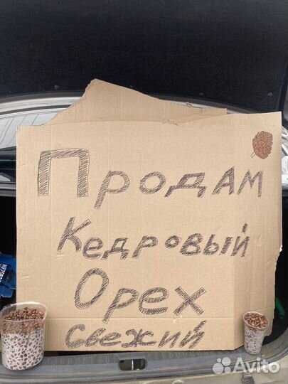 Кедровый орех