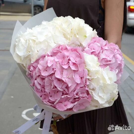 Букет из гортензий 11 21 31 41 51 101