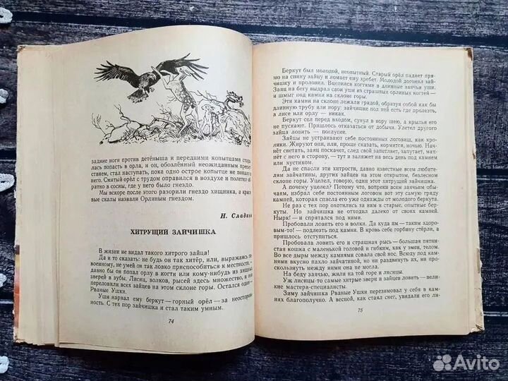 Заботливый цветок. Рассказы сказки о природе 1967