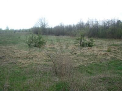 Участок 50 сот. (ИЖС)