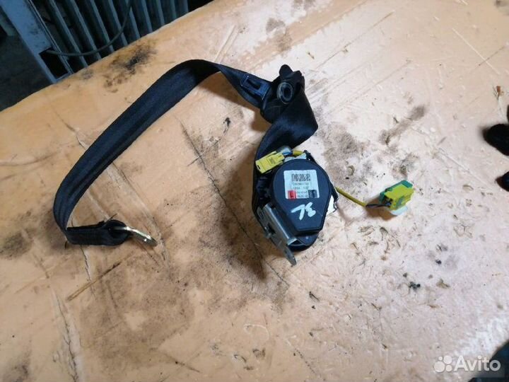 Ремень безопасности задний Porsche Cayenne 955