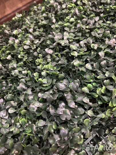 Искусственная растения