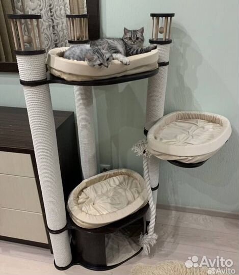 Когтеточка