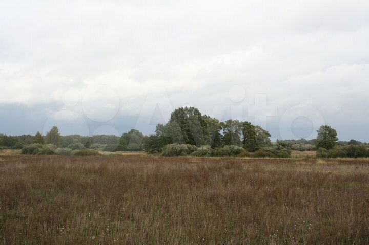 Участок 20,1 га (СНТ, ДНП)