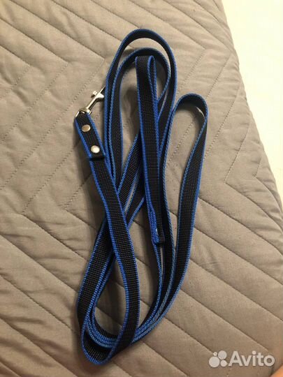 Вещи для собак мелких и средних пород