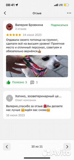 Груминг кошек стрижка кошек без стресса