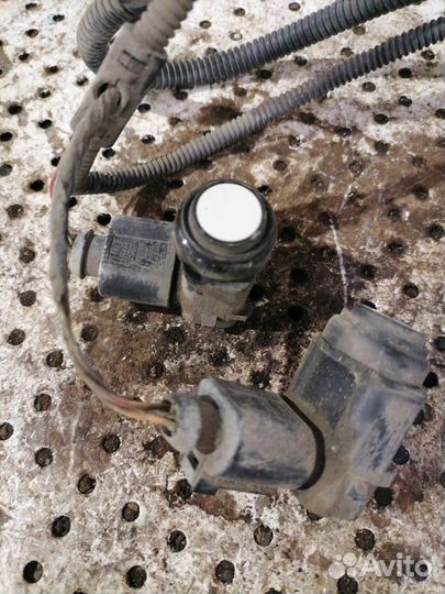 Парктроник Volkswagen Jetta 5