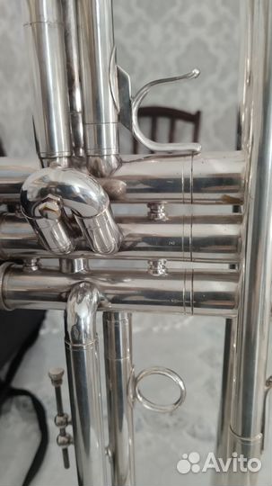 Труба blessing ML-1