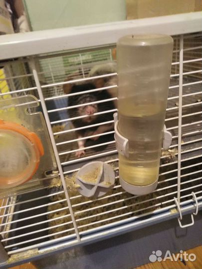 Клетка для грызунов