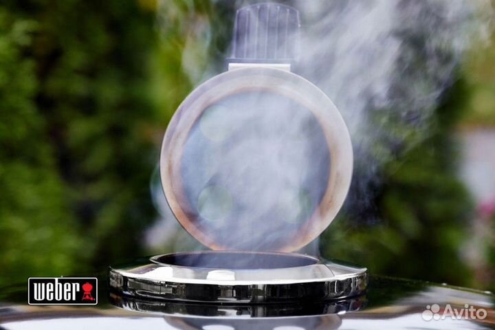 Угольный гриль Weber Summit Kamado E6 Черный