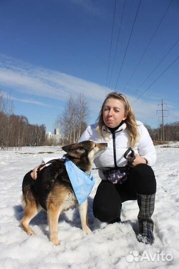 Застегчивый и робкий Зайчик поладит со всеми