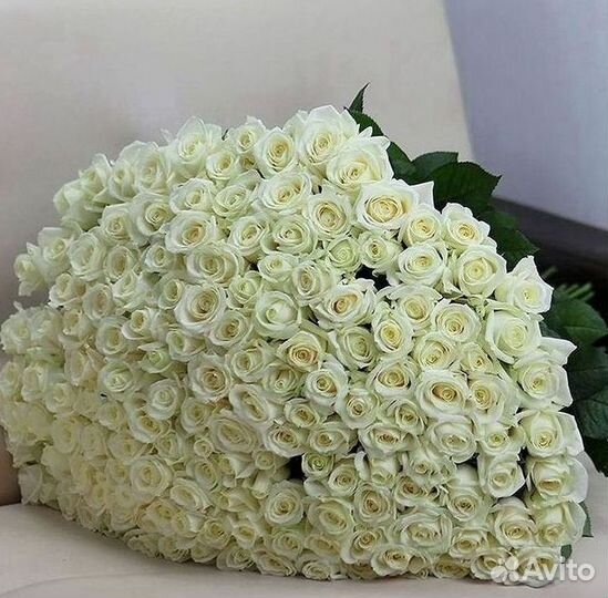 Розы Цветы Букеты 25 51 151 201 101 301 501 опт