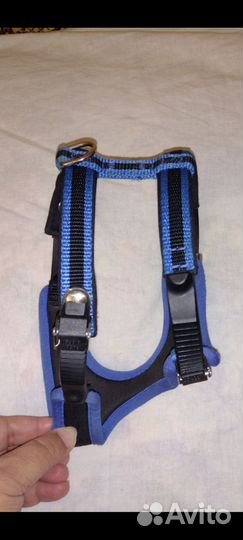 Ошейник, шлейка, поводок