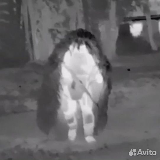 Термокамуфляж«Мимик»