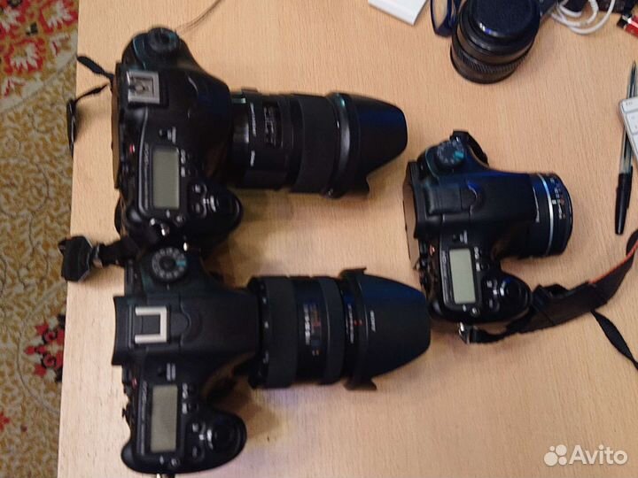 Sony A77 M2, Sony A99,A77