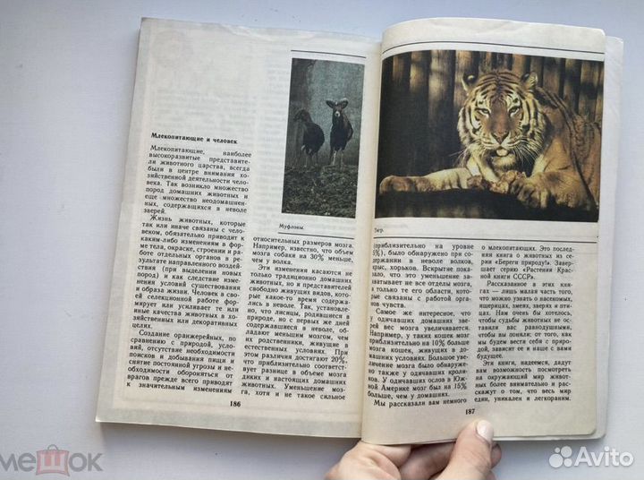 Звери Красной книги СССР, 1988 г