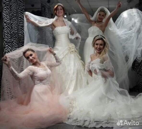 Ведущий тамада