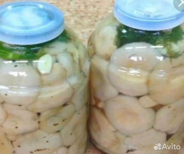 Продаю грибы