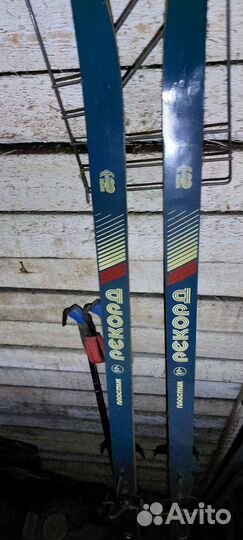 Беговые лыжи Record пластик