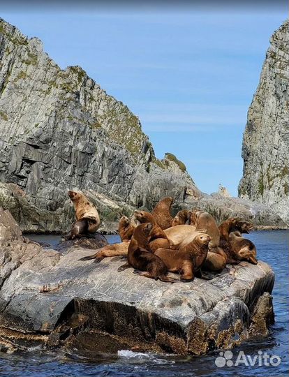 Камчатка турпоездка экспедиции 5-9 дн