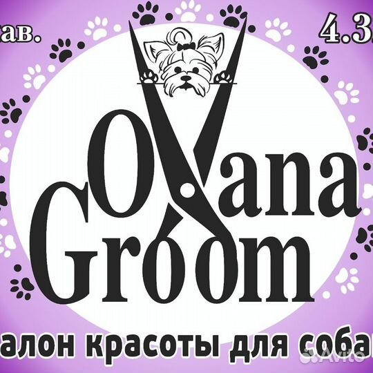 Стрижка собак