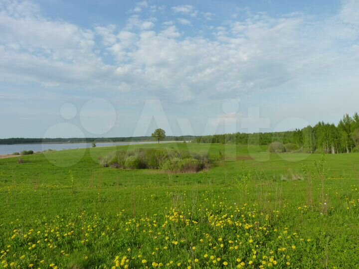 Участок 48,23 га (СНТ, ДНП)