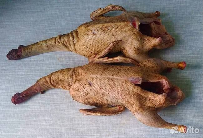 Утка домашняя мясо
