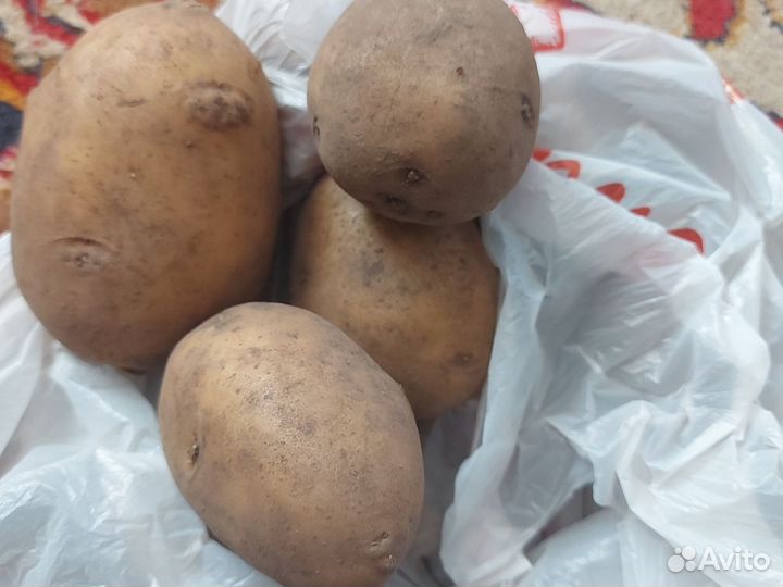 Продам картофель домашний