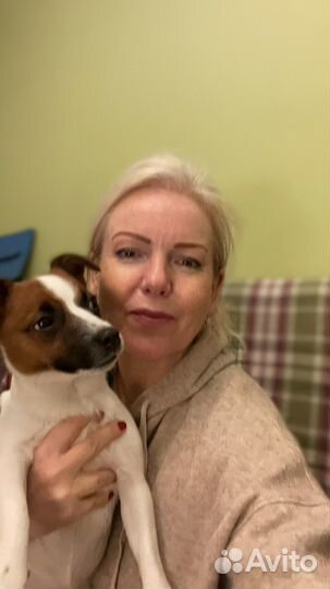 Передержка собак