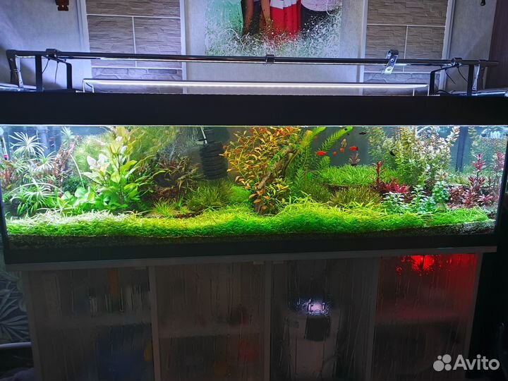 Аквариум (Акваскейп)