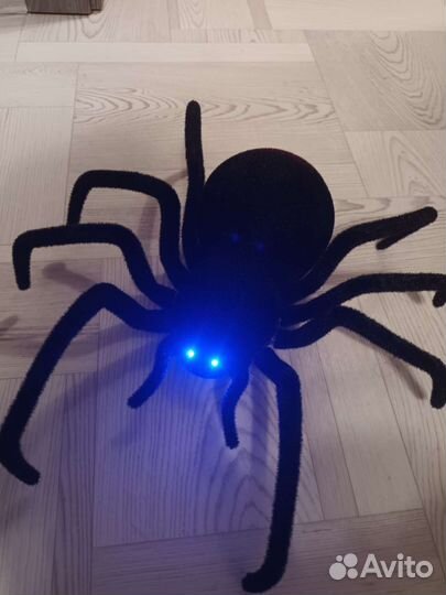 Паук на пульте управления