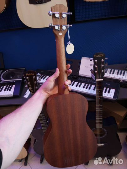 Укулеле концерт Ramis