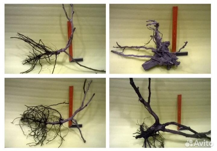 Коряги для аквариума